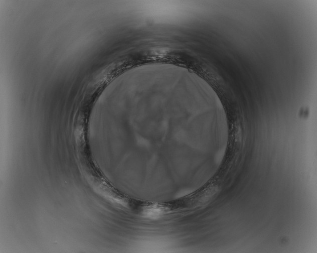 X0000112750754200909171226