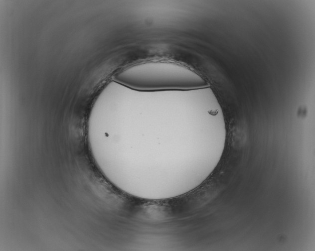 X0000112750756200909171226