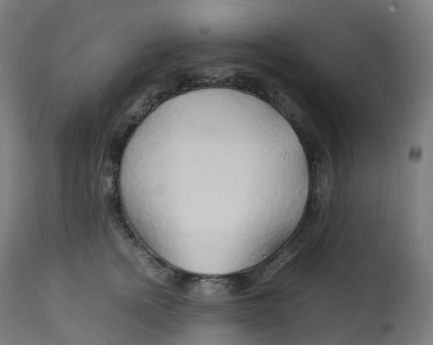 X0000112750758200909171226