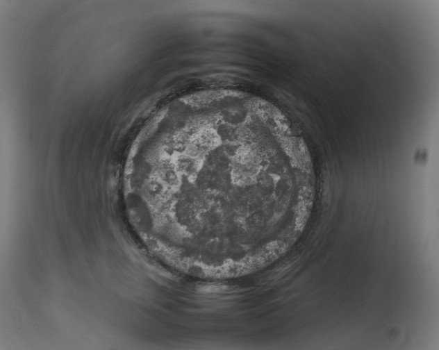 X0000112750759200909171226