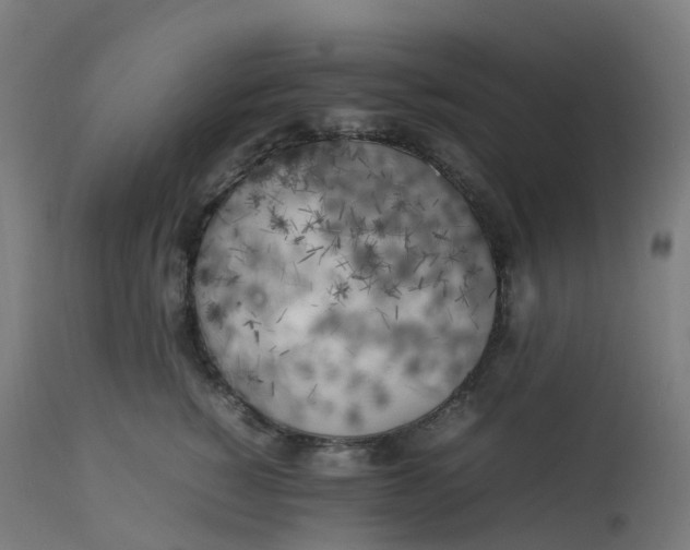 X0000112750760200909171226