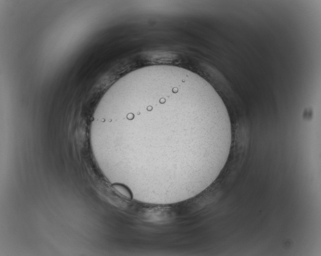 X0000112750761200909171226