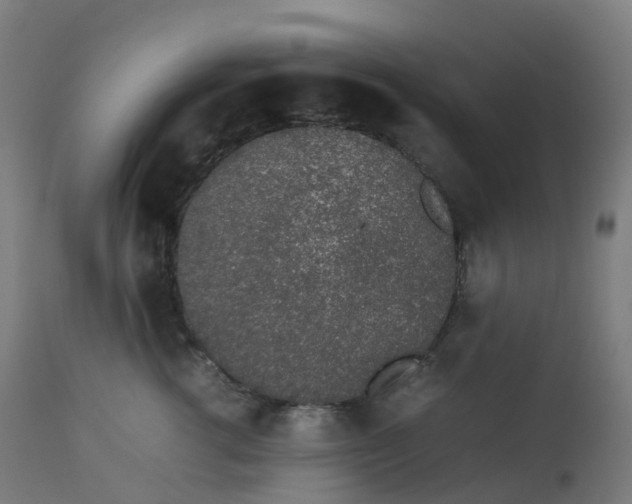 X0000112750762200909171226