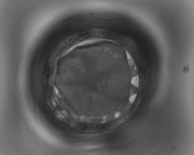 X0000112750765200909171226