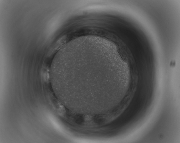 X0000112750766200909171226