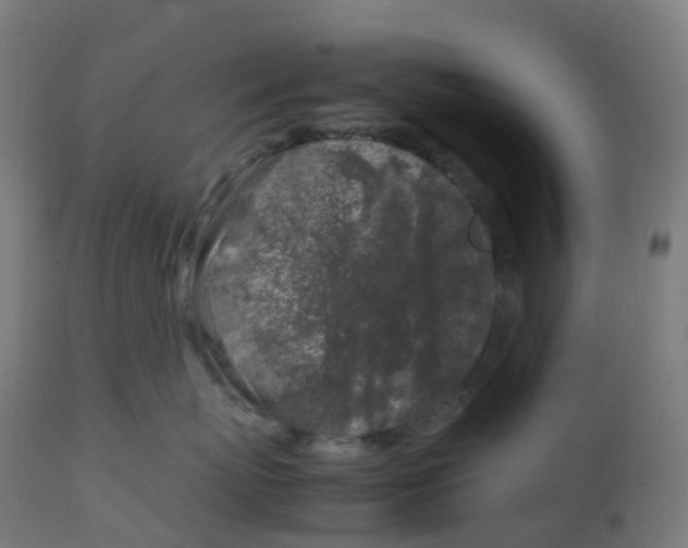 X0000112750767200909171226