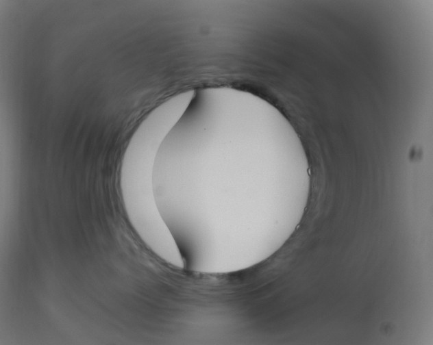 X0000112750768200909171226