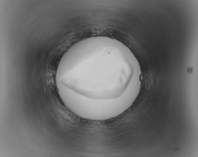 X0000112750770200909171225