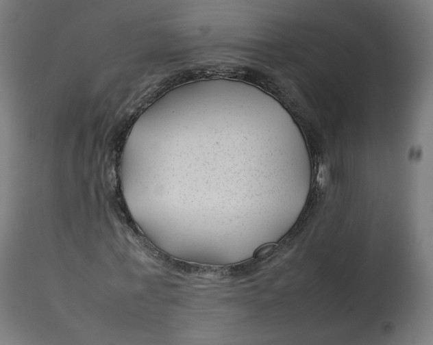 X0000112750771200909171225