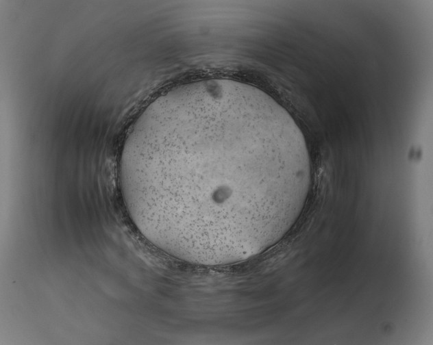 X0000112750772200909171225