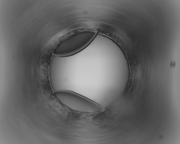 X0000112750773200909171225