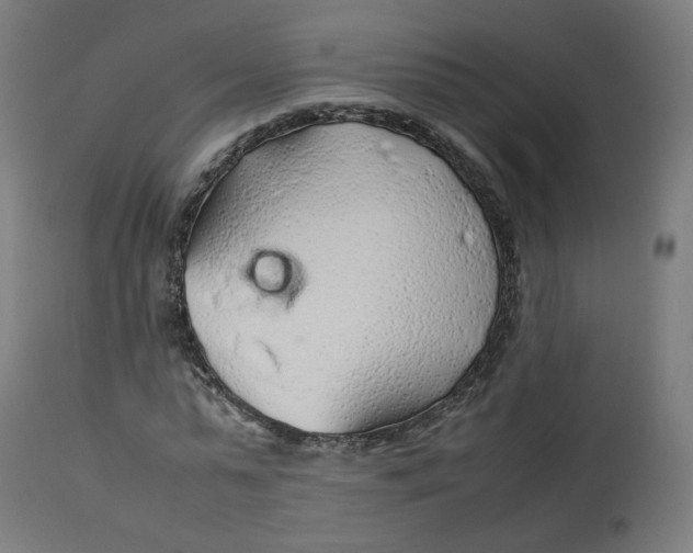 X0000112750775200909171225