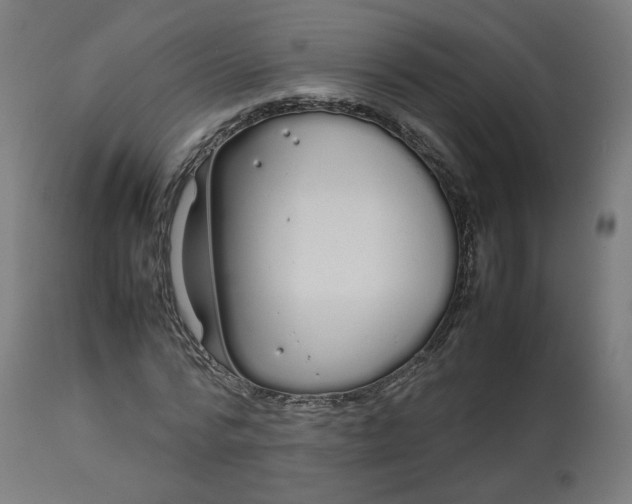 X0000112750776200909171225