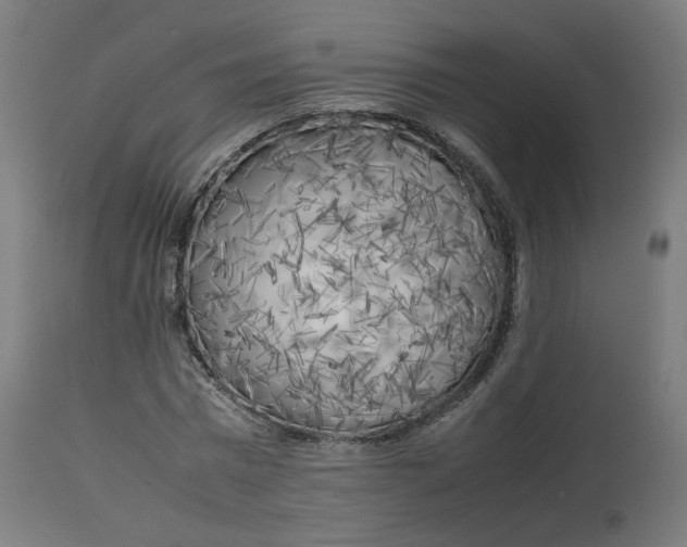 X0000112750777200909171225
