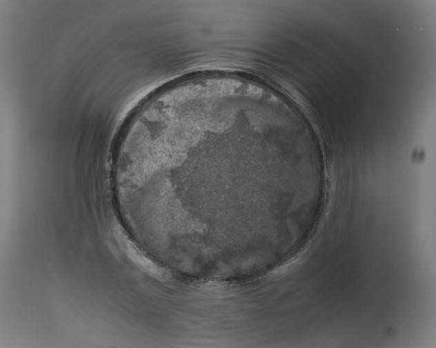 X0000112750779200909171225