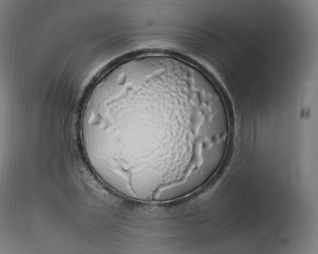 X0000112750783200909171225