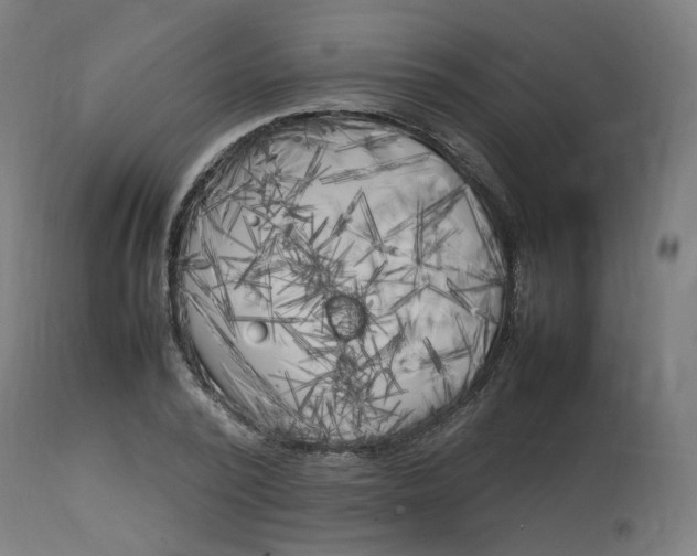 X0000112750784200909171225