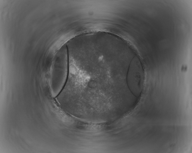 X0000112750785200909171225