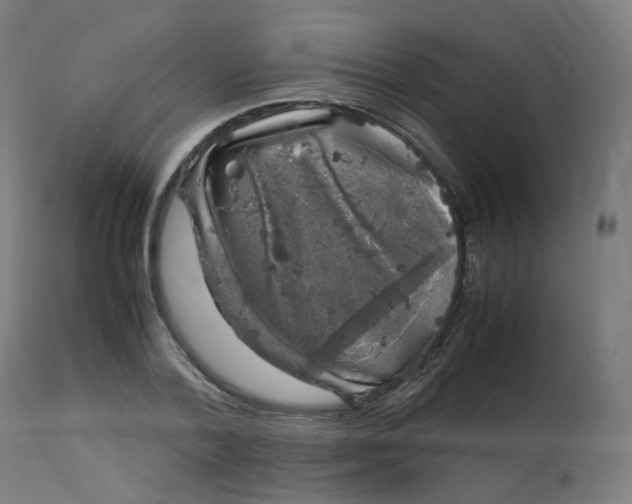 X0000112750788200909171225