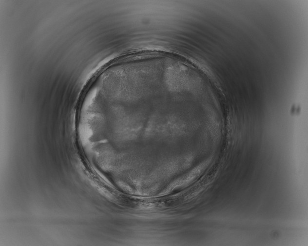 X0000112750790200909171225