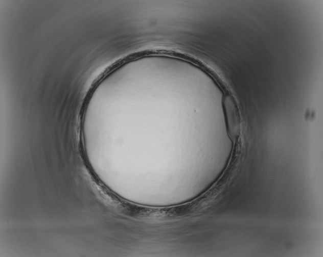 X0000112750791200909171225