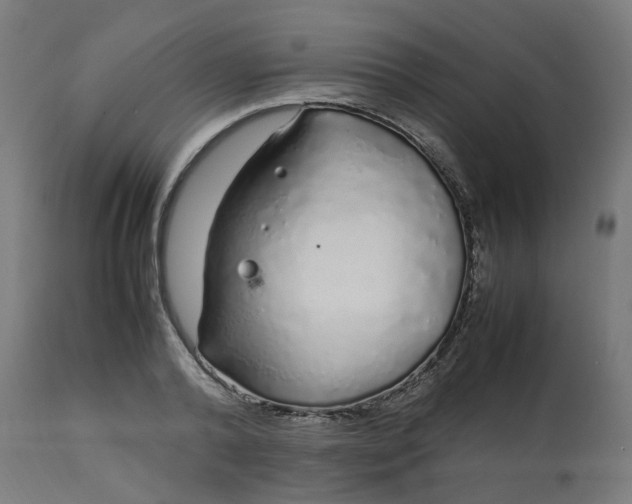 X0000112750792200909171225