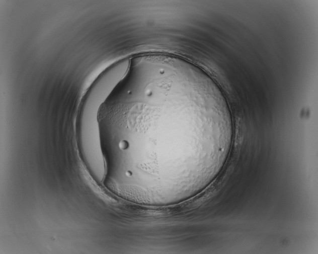 X0000112750796200909171225