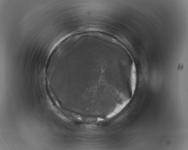 X0000112750798200909171225