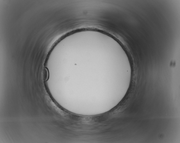 X0000112750799200909171225