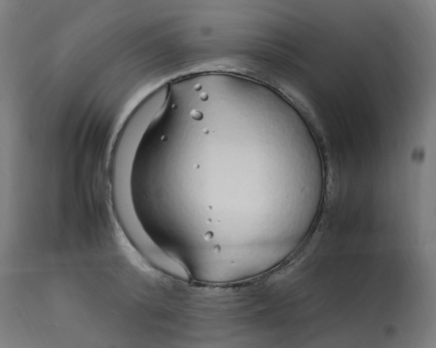 X0000112750800200909171225