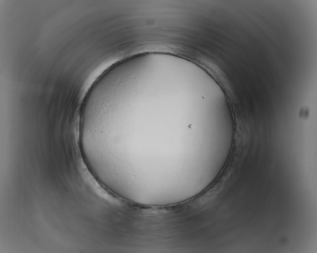 X0000112750804200909171225