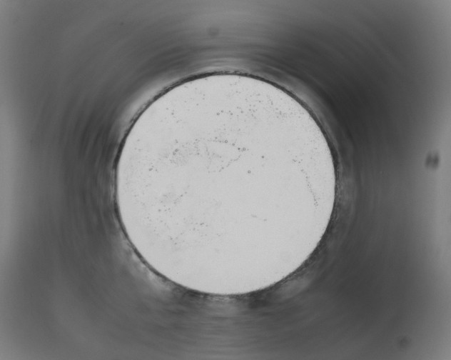 X0000112750807200909171225