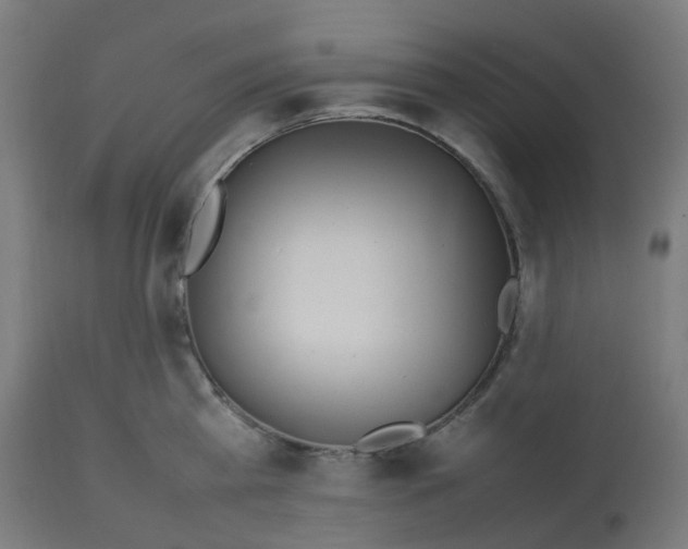 X0000112750809200909171225