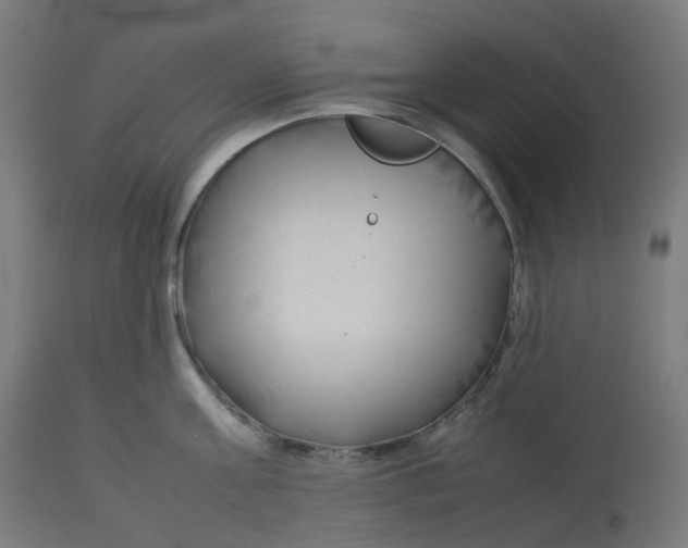 X0000112750811200909171225