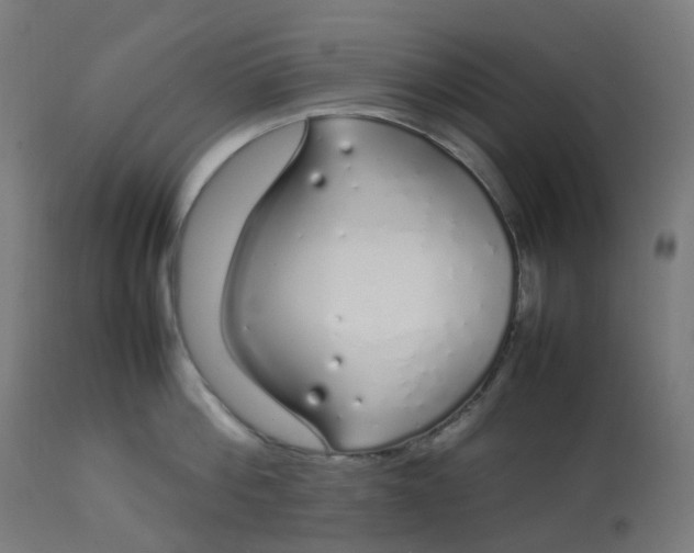 X0000112750812200909171225