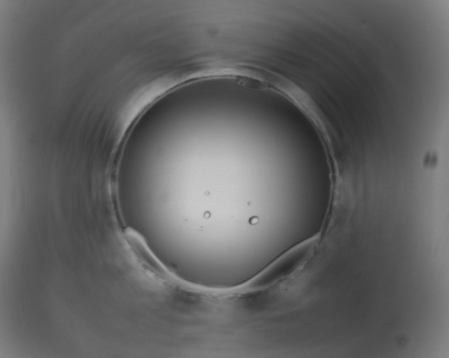 X0000112750813200909171225