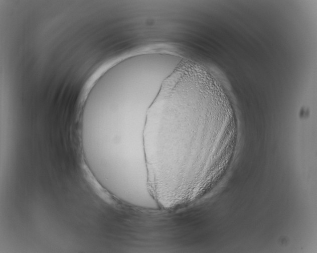 X0000112750816200909171224