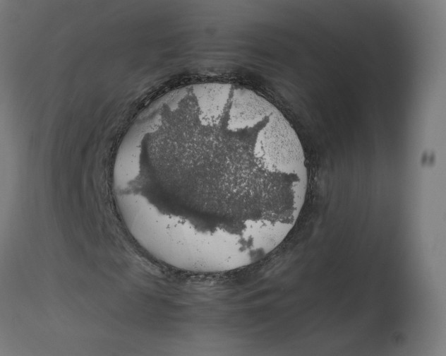 X0000112750817200909171224