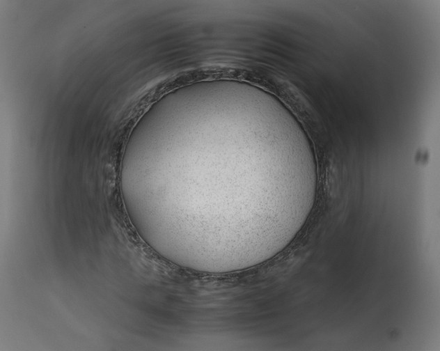 X0000112750821200909171224