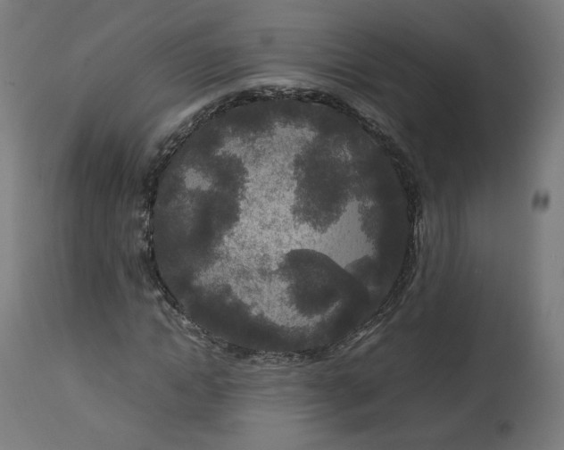 X0000112750822200909171224