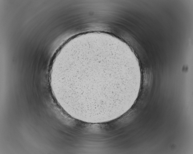 X0000112750828200909171224