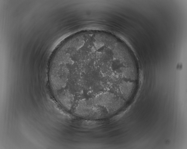 X0000112750829200909171224