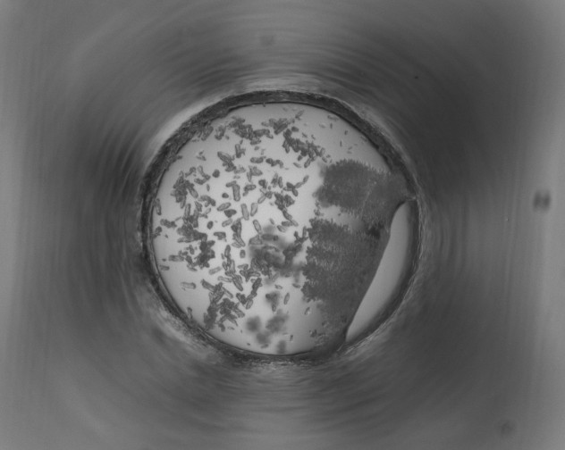 X0000112750830200909171224