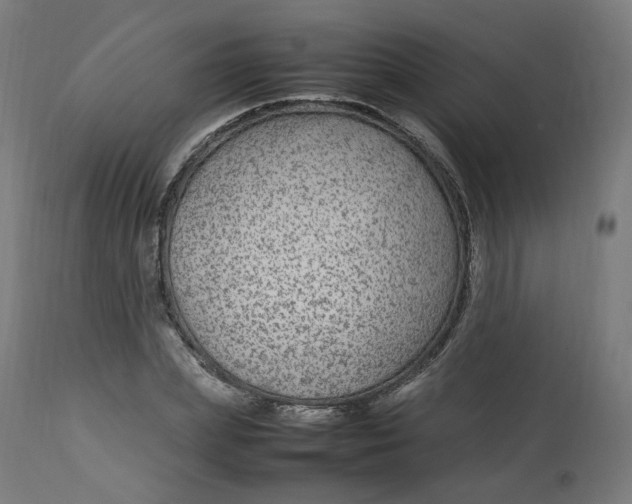 X0000112750831200909171224