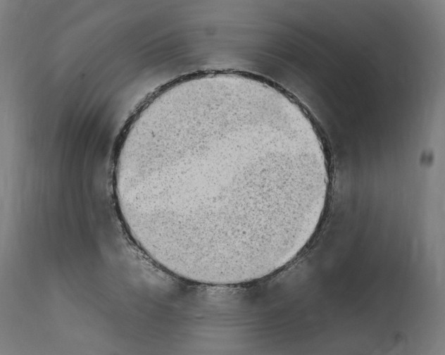 X0000112750832200909171224