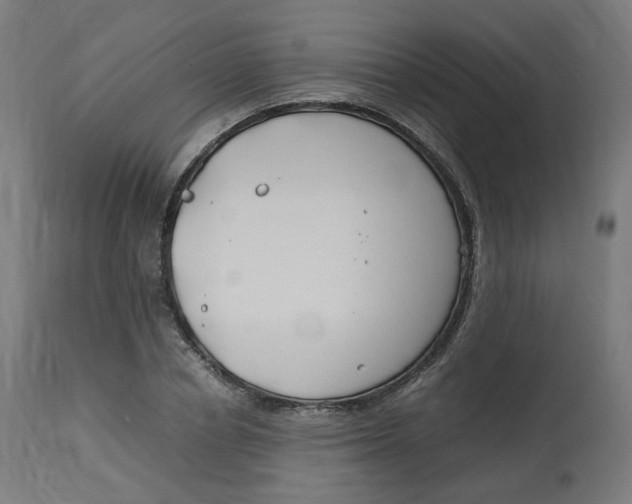 X0000112750834200909171224