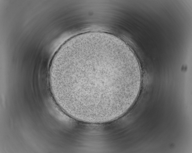 X0000112750836200909171224