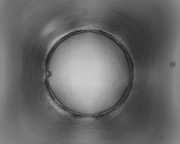 X0000112750838200909171224