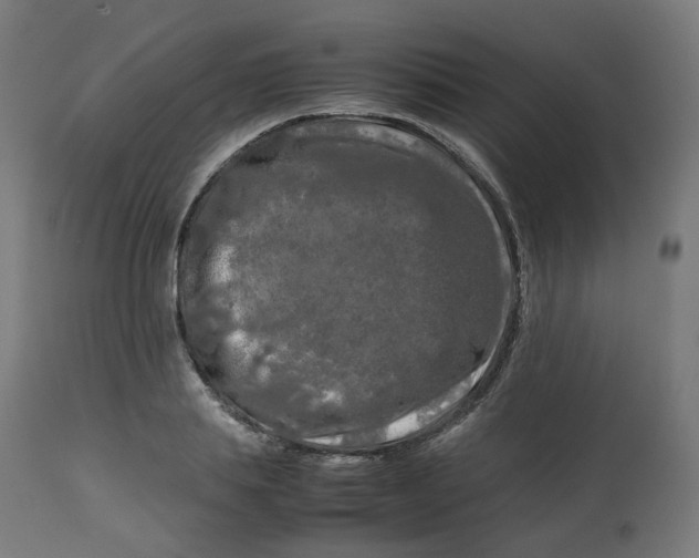 X0000112750839200909171224