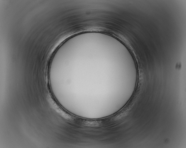 X0000112750843200909171224